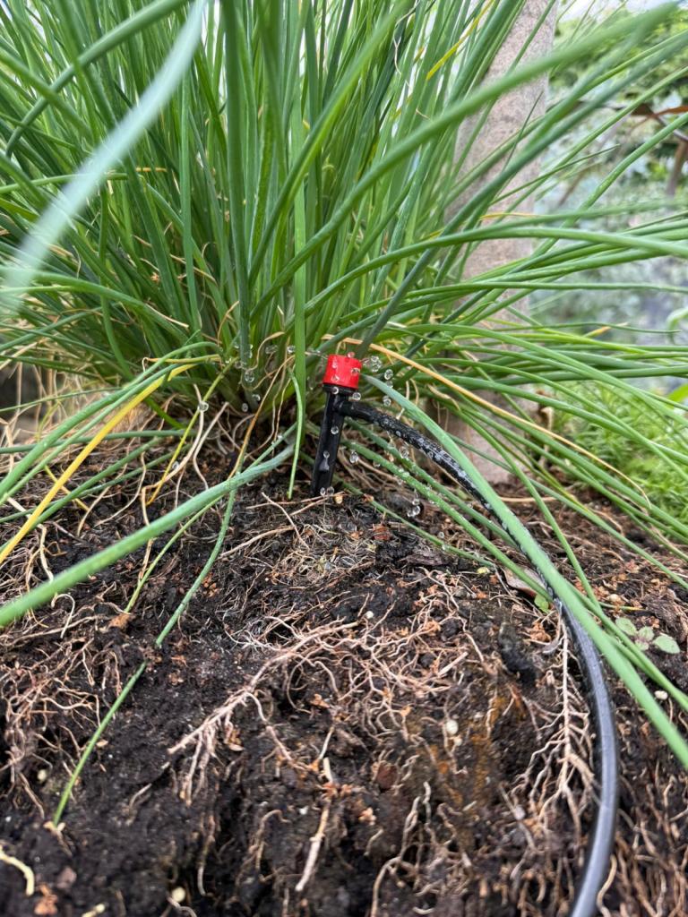Garden irrigation system installed around planting beds