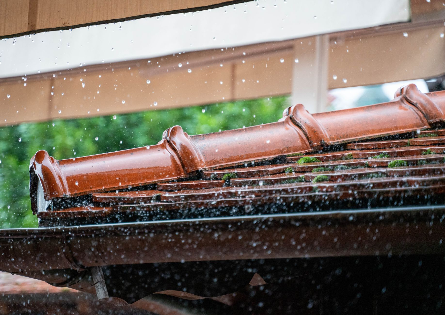 Gutter cleaning on a Cambridge home by Ant's Handyman Services
